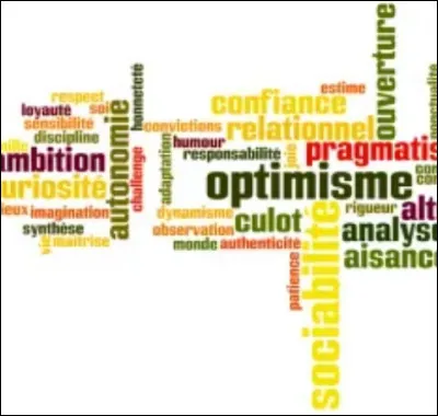 Quelle est la qualit&eacute; qui te correspond le plus parmi celles-l&agrave; ?