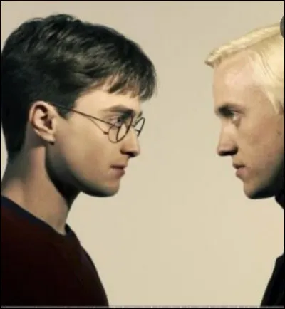 Pr&eacute;f&egrave;res-tu Harry ou Drago ?