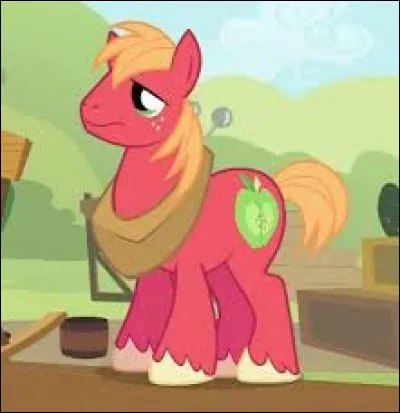 C'est le grand frère d'Applejack et d'Apple Bloom :