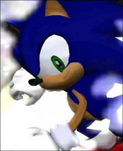Quel est le premier niveau de Sonic ?