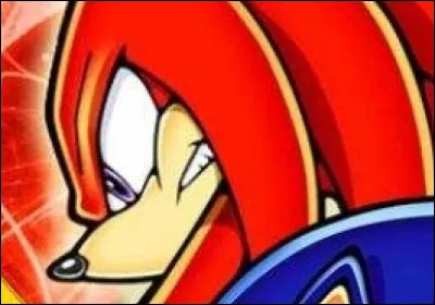 Que doit chercher Knuckles ?