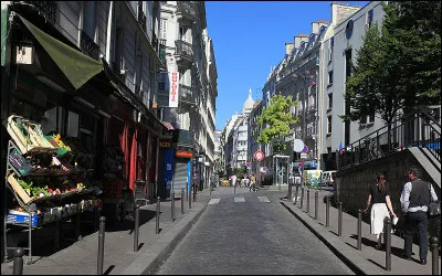 Quel roman dEmile Zola a pour cadre le quartier de la Goutte-dOr ?