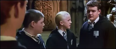 Harry et Ron se sont transformés en Crabbe et Goyle, Drago arrive, soudain il regarde bizarrement Goyle (qui est Harry grâce au Polynectar) ! Que dit-il à Goyle ?