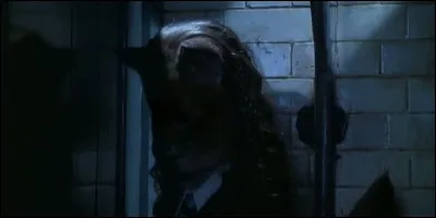 Hermione a fabriqué un Polynectar afin d'entrer dans la salle commune de Serpentard, sauf qu'au lieu de prendre un cheveu de Millicent Bulstrode elle a pris un poil et Hermione s'est transformée en...