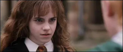 En fait que signifie l'insulte "sang-de-bourbe" prononcé par Drago Malefoy contre Hermione ?
