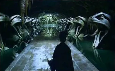 Harry arrive dans la Chambre des Secrets, soudain il voit un corps pétrifié par terre ! À qui est ce corps ?