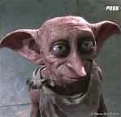 Où Harry va-t-il rencontrer l'elfe Dobby ?