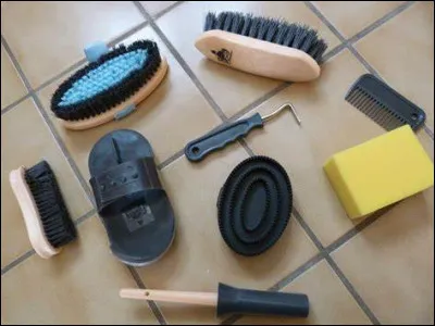 Sur cette photo, quelles brosses vois-tu ?