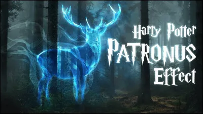 Quel est le Patronus de Lily Evans ?