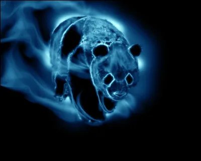 Quel est le Patronus dAlbus Dumbledore ?