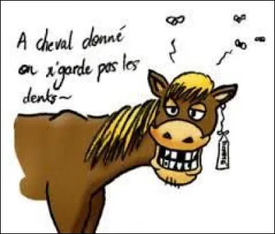 "À cheval donné, on ne regarde pas les dents" : que faut-il entendre par là ?