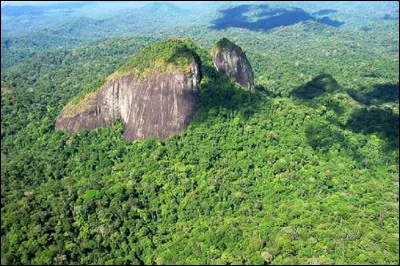 Voici les denses forêts de l'Amapá, presque impénétrables. Dans quel pays se situent-elles ?