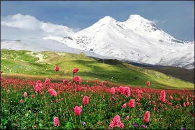 Le Marz d'Aragatsotn tire son nom de ce majestueux sommet, point culminant de son pays. Où sommes-nous ?