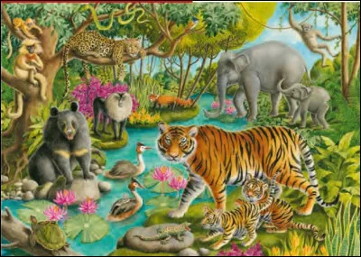 Quel animal est sacré en Inde ?