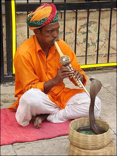 Quel est l'instrument des charmeurs de serpents en Inde ?