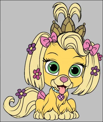 À qui appartient cet animal ?