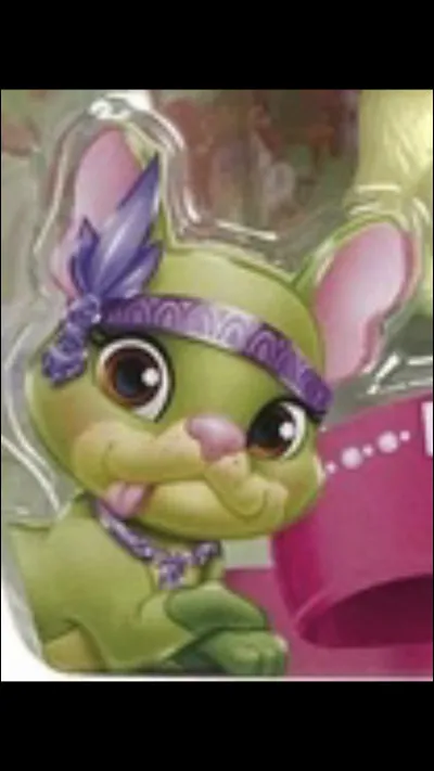 À qui appartient cet animal ?