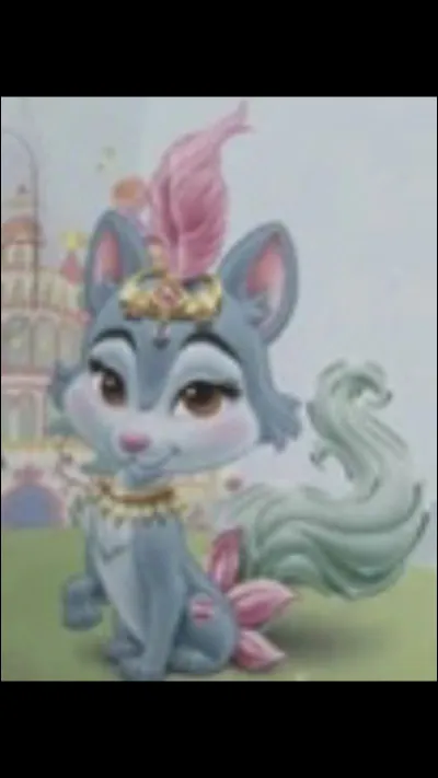 À qui appartient cet animal ?