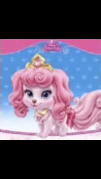 À qui appartient cet animal ?