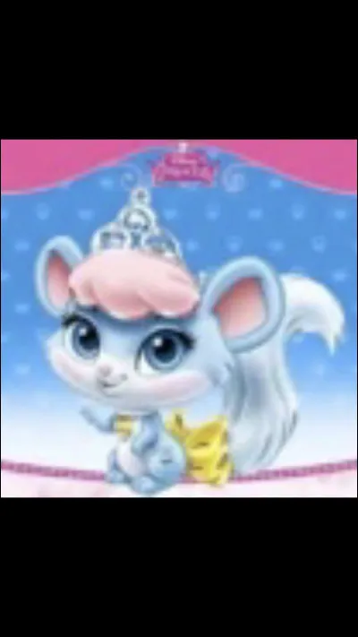 À qui appartient cet animal ?