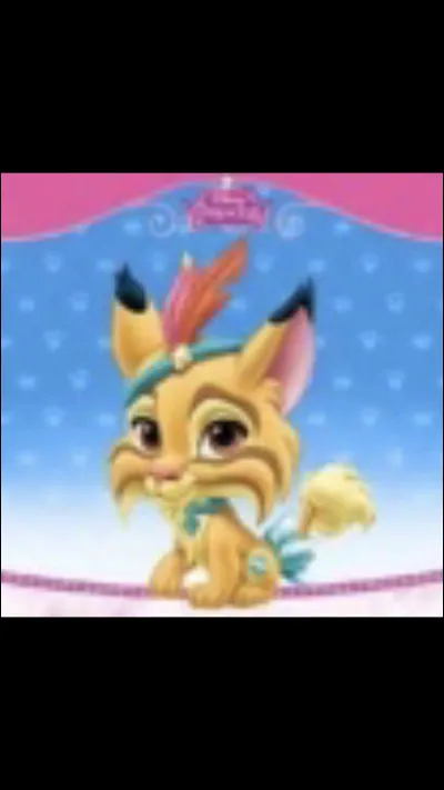 À qui appartient cet animal ?