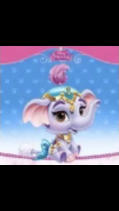 À qui appartient cet animal ?