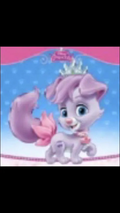 À qui appartient cet animal ?