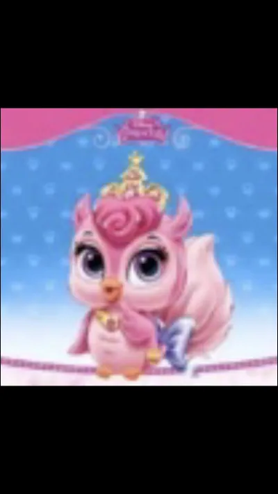 À qui appartient cet animal ?