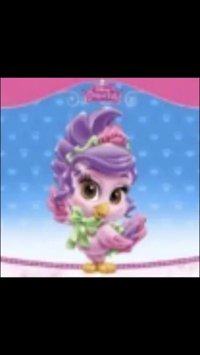 À qui appartient cet animal ?