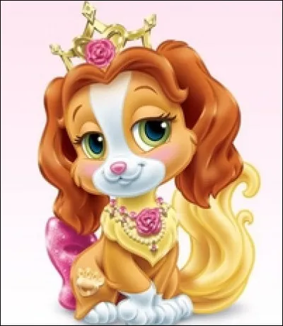 À qui appartient cet animal ?