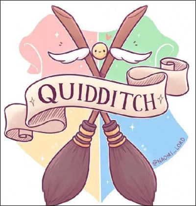 Pratiquerais-tu le quidditch ?