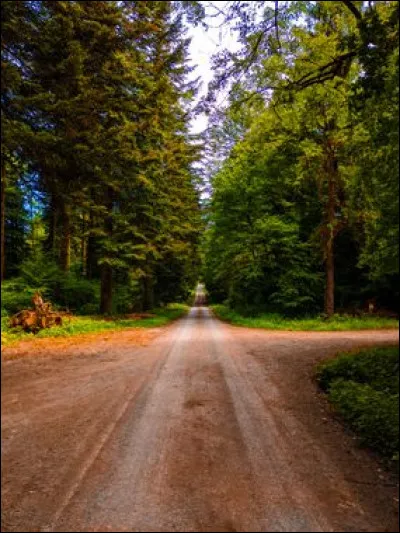 Quel chemin te tente le plus ?