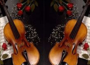 Quiz Le violoncelle