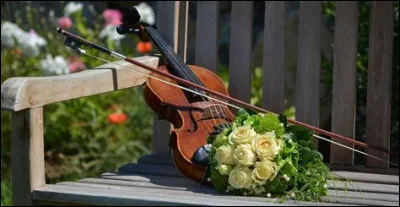 Ses quatre cordes sont :