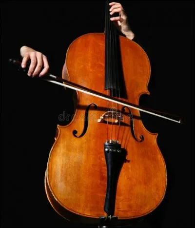 Quel terme technique ne correspond pas au violoncelle ?