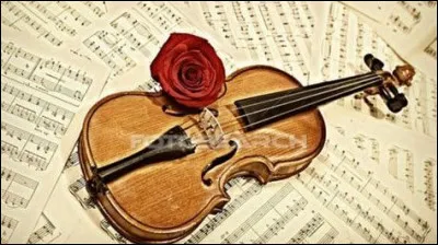 Qui n'est pas violoncelliste ?