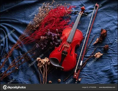 La mèche de l'archet est faite en :