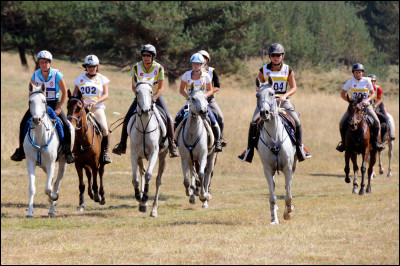 Vu l'équipement des cavaliers et comment sont montés les chevaux, vous pouvez supposer que cette discipline équestre est...