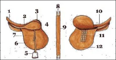 Comment s'appelle la partie numéro 8 ?