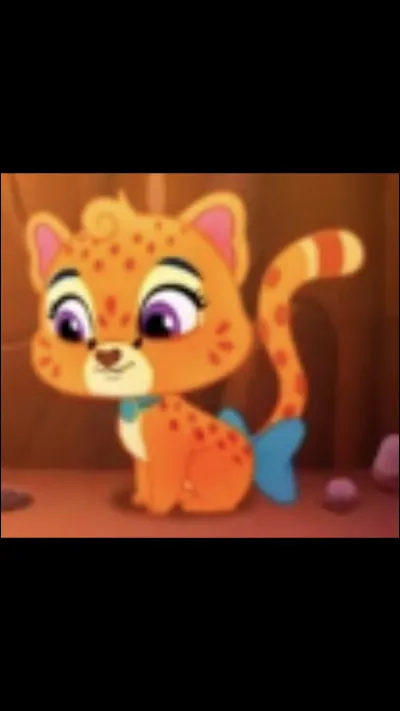 À qui appartient cet animal ?