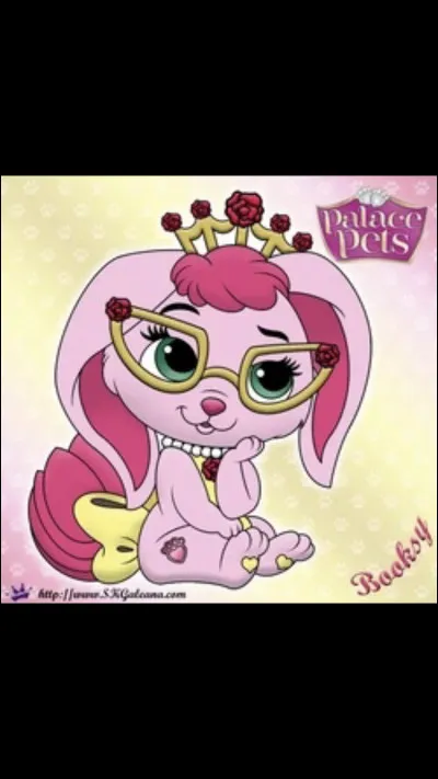 À qui appartient cet animal ?