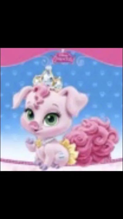 À qui appartient cet animal ?