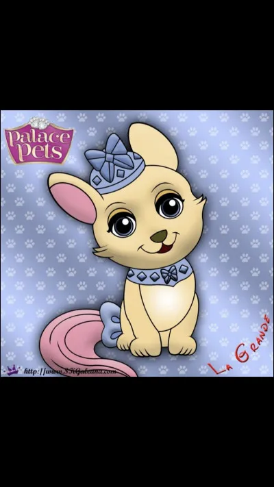 À qui appartient cet animal ?