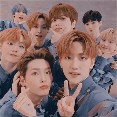 Les couleurs que tu préfères :