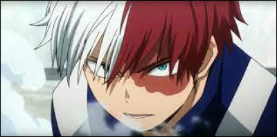 Comme alter, tu pr&eacute;f&eacute;rerais avoir :