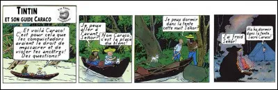 Finalement, nous retrouvons le vrai visage de Tintin, tel qu'il apparaissait à ses débuts dans "Tintin au Congo", par exemple. À nos yeux "modernes", celui-ci nous semble un tant soit peu...