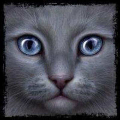 Et ses yeux ? Indice : de la même couleur que la mer ! Ils sont :