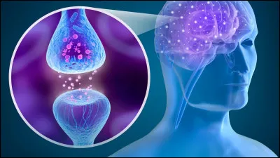 Comment résumerais-tu ton caractère ?