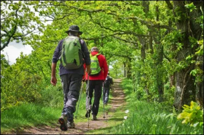 Et enfin, clique sur une sortie qui te correspond bien :