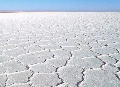 En Amérique du Sud, c'est une dépression fermée submergée d'eau salée en saison des pluies, desséchée et couverte de sel en saison sèche.